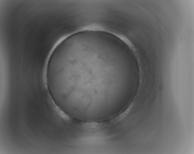 X0000112201248200908211534