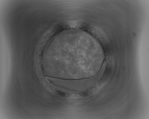 X0000112201249200908211533