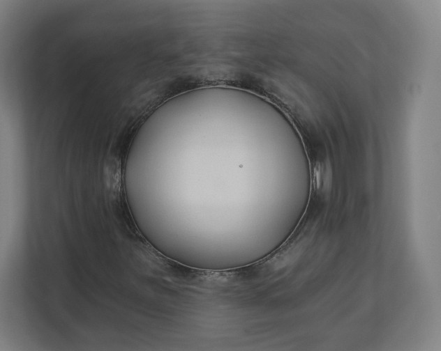 X0000112201251200908211533