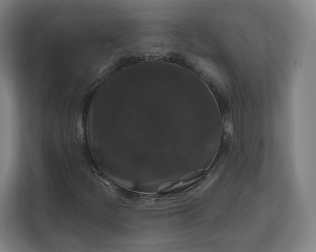 X0000112201252200908211533