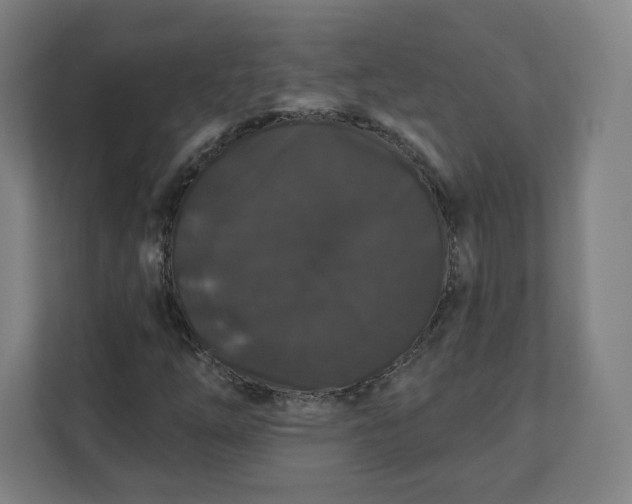 X0000112201254200908211533