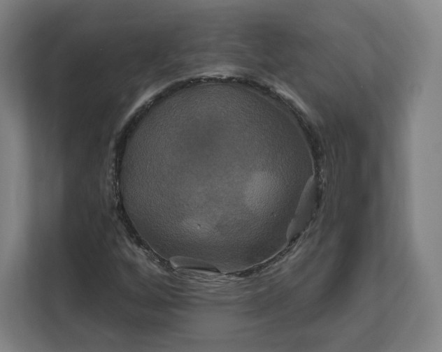 X0000112201256200908211533