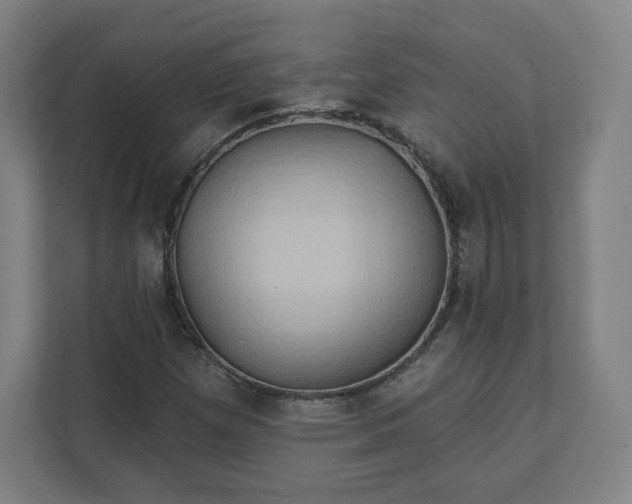 X0000112201257200908211533