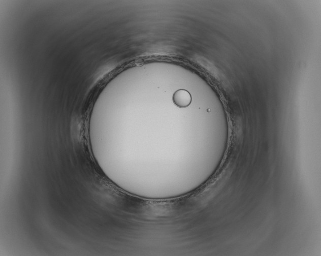 X0000112201258200908211533