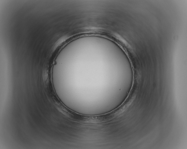 X0000112201259200908211533