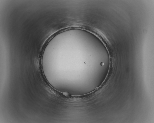 X0000112201260200908211533