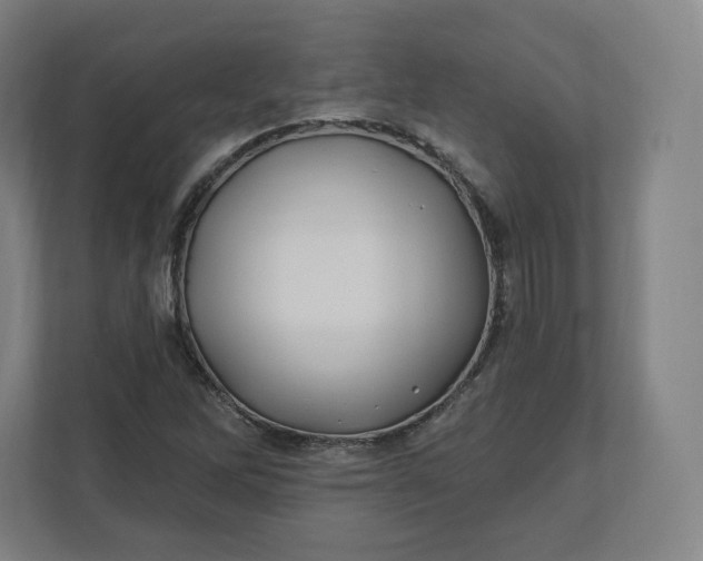 X0000112201262200908211533