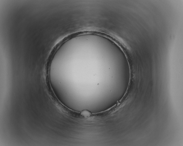 X0000112201264200908211533