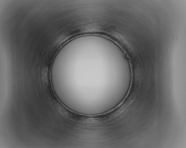 X0000112201265200908211533