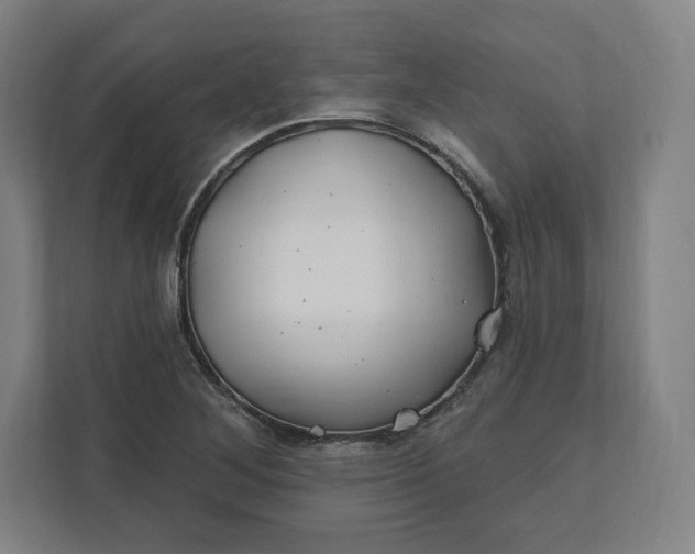 X0000112201268200908211533