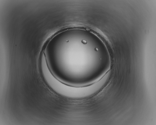 X0000112201269200908211533