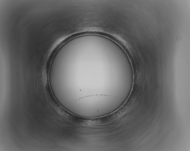 X0000112201271200908211533