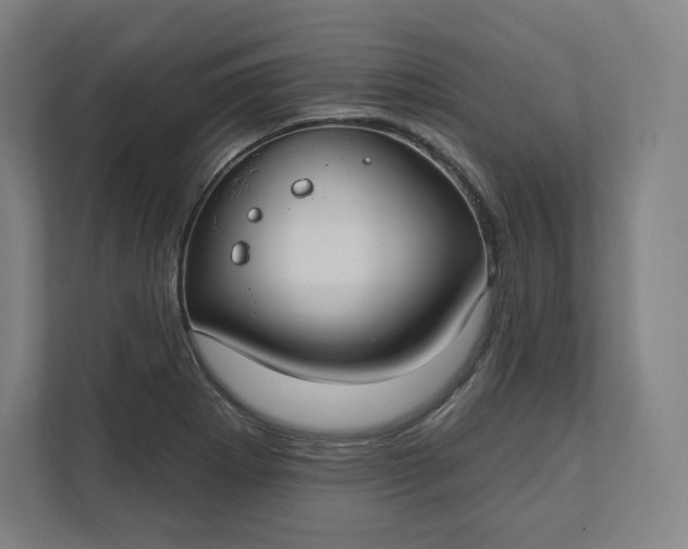 X0000112201273200908211533