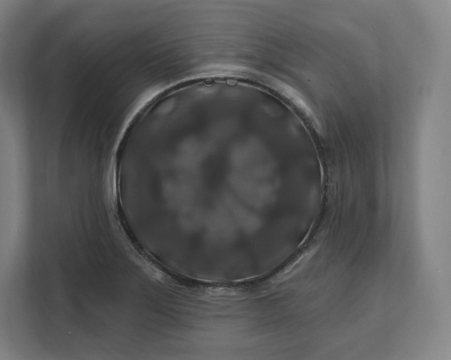 X0000112201275200908211533