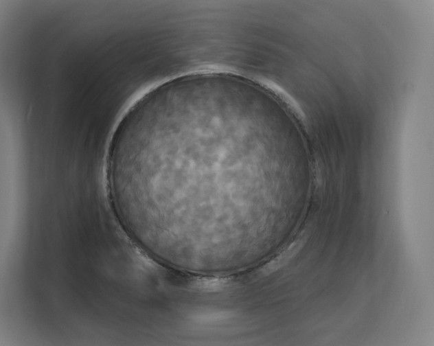 X0000112201278200908211533