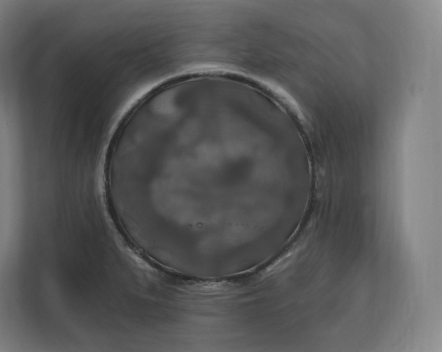 X0000112201279200908211533