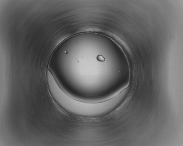 X0000112201281200908211533