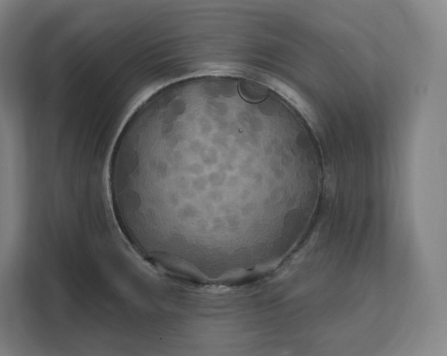 X0000112201283200908211533