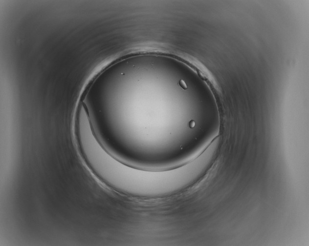 X0000112201285200908211533