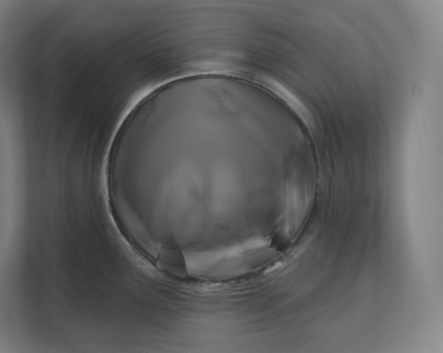 X0000112201291200908211533