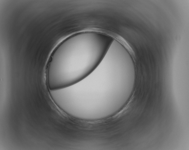 X0000112201292200908211533