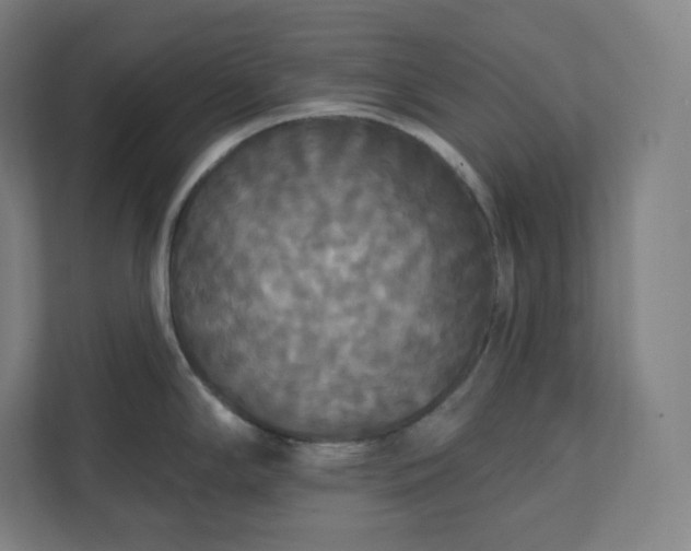 X0000112201294200908211533