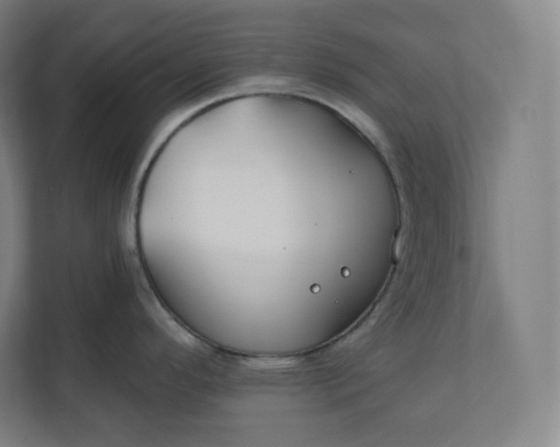 X0000112201296200908211533