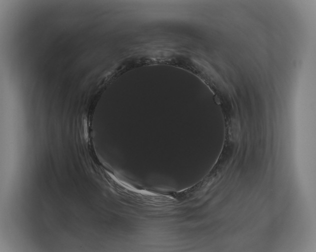 X0000112201298200908211532