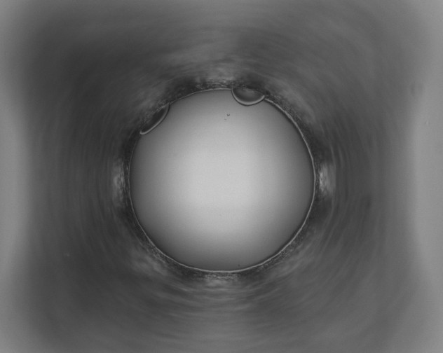 X0000112201299200908211532