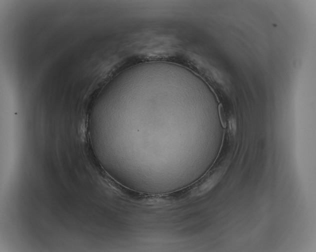 X0000112201300200908211532