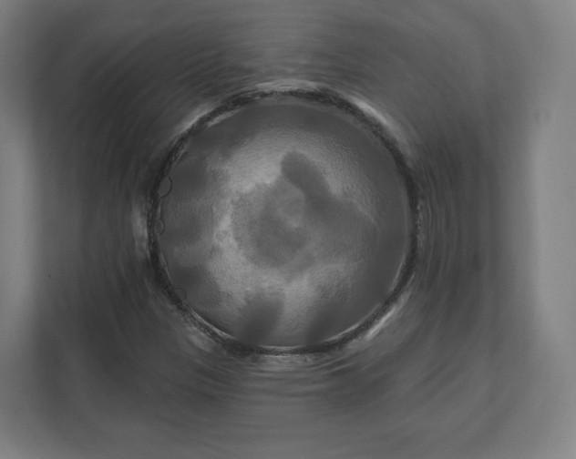 X0000112201305200908211532