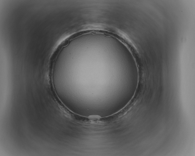 X0000112201312200908211532