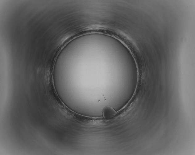 X0000112201313200908211532