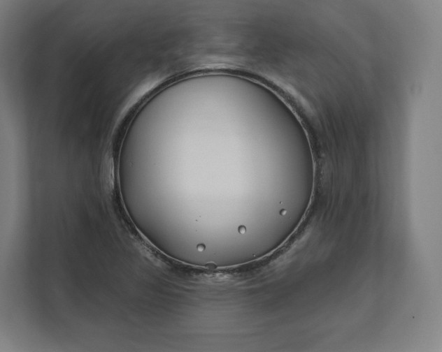 X0000112201317200908211532