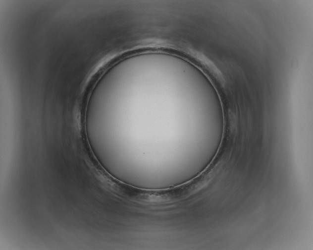 X0000112201318200908211532