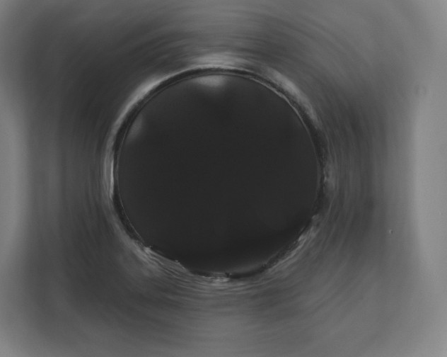 X0000112201323200908211533