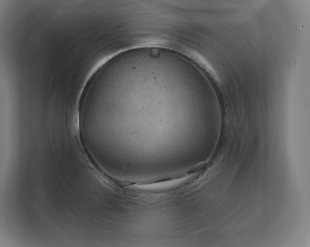 X0000112201324200908211533