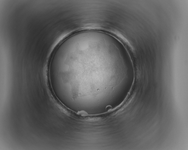 X0000112201325200908211533