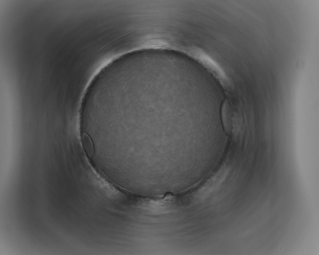 X0000112201326200908211533