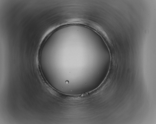 X0000112201328200908211533