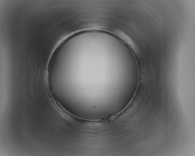 X0000112201332200908211533