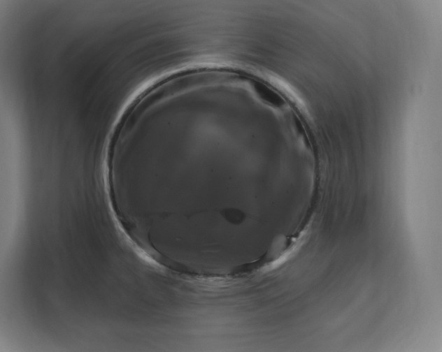 X0000112201334200908211533