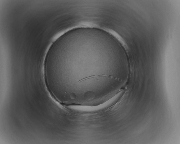 X0000112201335200908211533