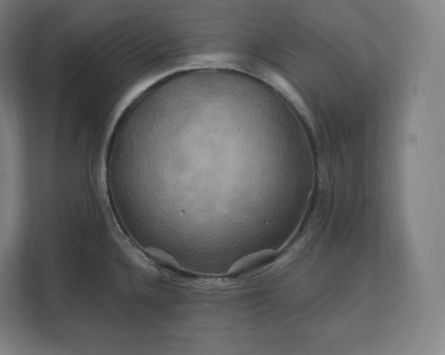 X0000112201336200908211533