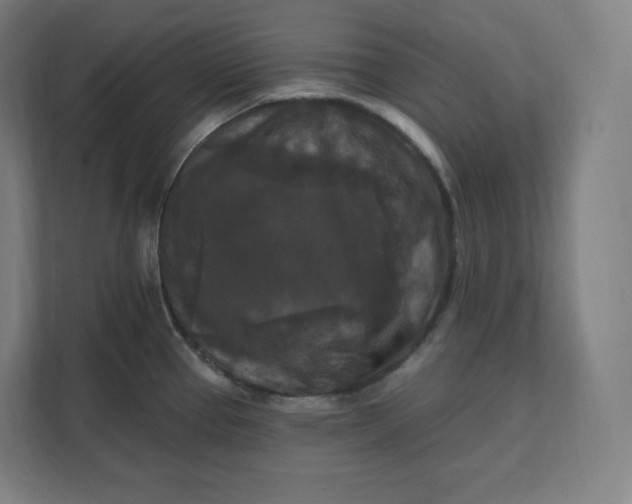 X0000112201337200908211533