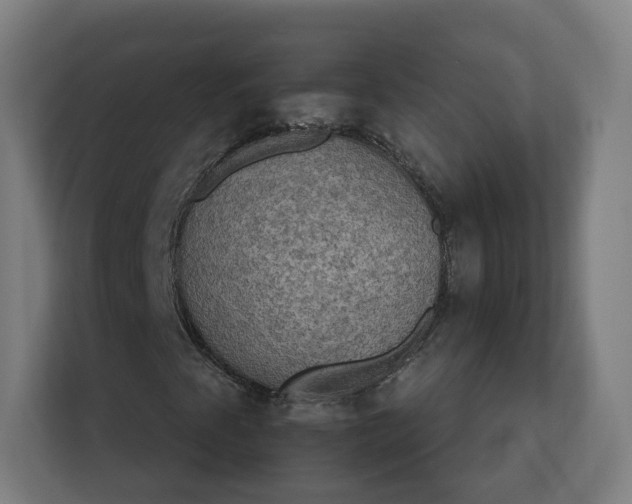 X0000112201345200908211532