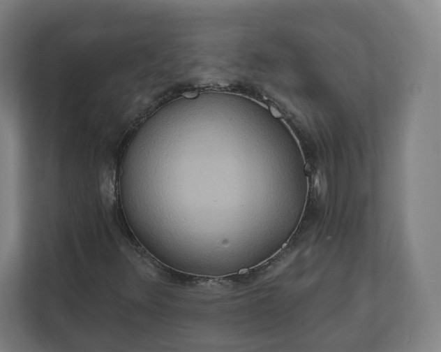 X0000112201348200908211532