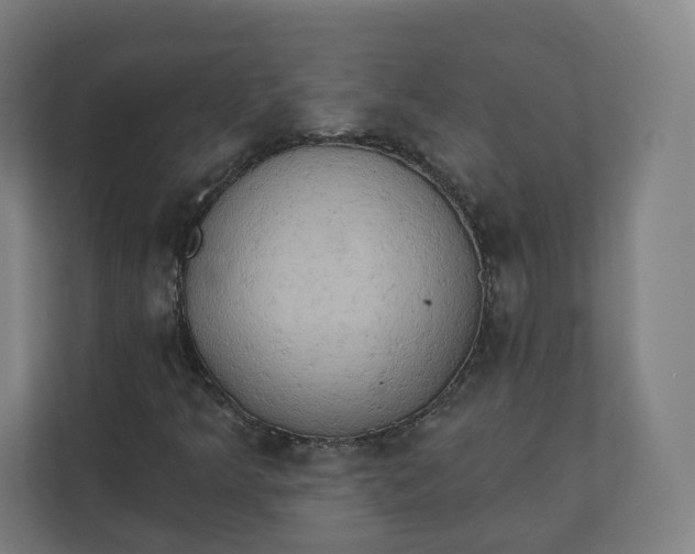 X0000112201349200908211532