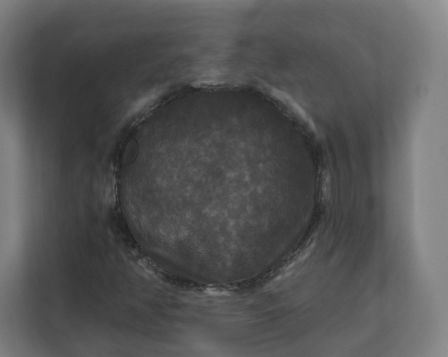 X0000112201350200908211532