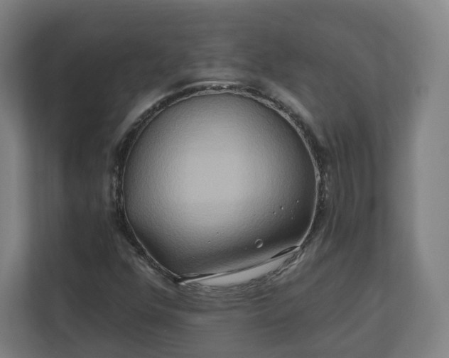 X0000112201352200908211532